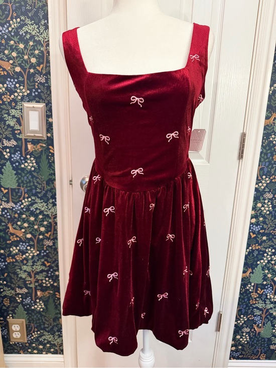 Altar'd State Dresses & Skirts - Altar'd State Wine Velvet Mini Dress with Pink Bow Embroidery